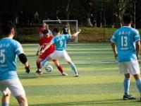 爱游戏-包含柔道夜战：西城银狐队大胜岭北猎隼队，临门一脚致胜年轻人站出来了的词条