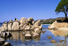 爱游戏体育- 降维打击到底有多可怕 